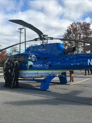 Panda One Helicopter panda-one-helicopter-wwj