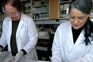 Two-Ladies-in-White-Laboratory-Gown